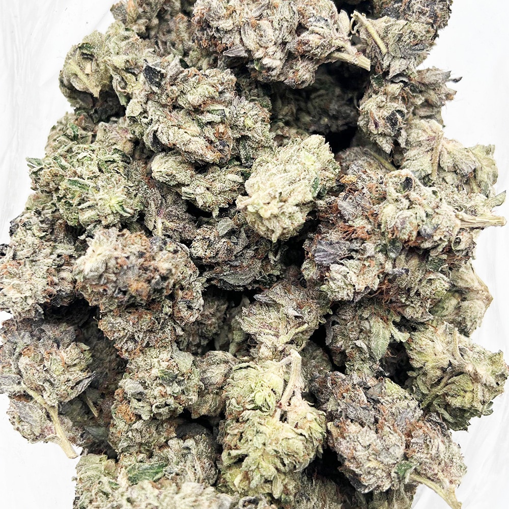 Rockstar – AAAA - Image 3