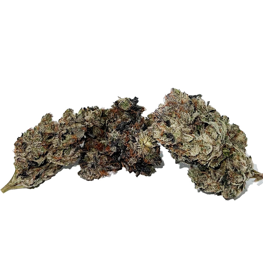 Rockstar – AAAA - Image 2