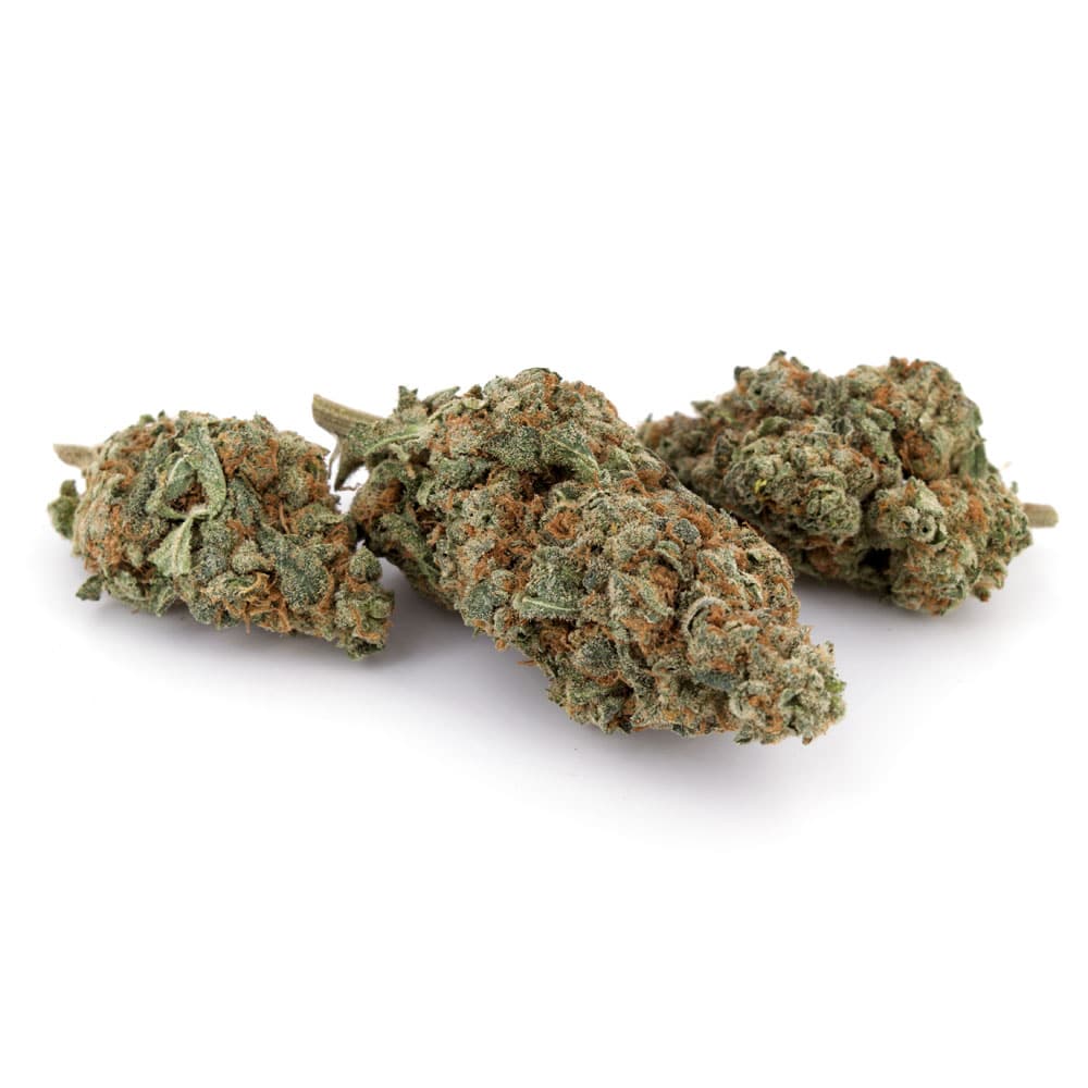 Moby Dick (AAA) - Image 2